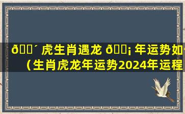 🌴 虎生肖遇龙 🐡 年运势如何（生肖虎龙年运势2024年运程）